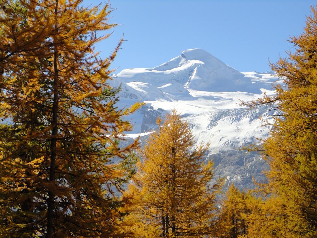 Haus Holiday Saas Fee Chambre photo