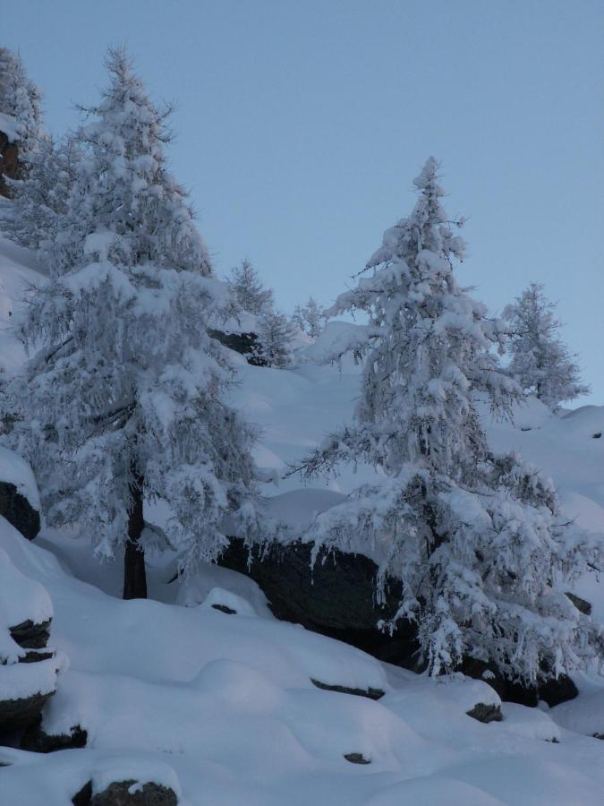 Haus Holiday Saas Fee Extérieur photo